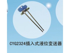 CYG2324插入式液位變送器