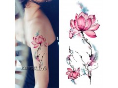 俁豐包裝長期供應各種美甲水轉印貼