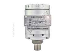 北京雷薩德儀器儀表廠價直銷2133陶