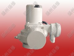 調節型電動頭DQW20-WT DQTZ30