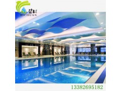 徐州地埋式泳池水循環處理設備