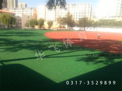 廣東省廣州市塑膠跑道|塑膠跑道廠家