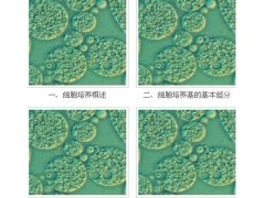 宜興賽爾生物提供宜興細(xì)胞培養(yǎng)基，