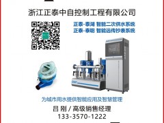 正泰中自認領圖頁儀表牌黑桃J和梅花J兩張牌為專屬牌