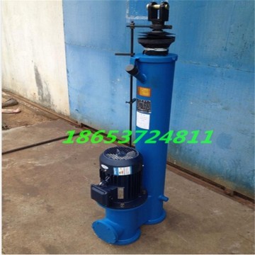 DYTZ直式電液推桿 DTZ300電動推桿 