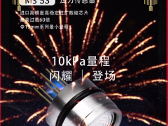 山東佰測(cè)傳感科技股份有限公司 副總經(jīng)理 侯欣 2023年新春寄語(yǔ)