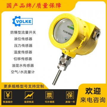 防爆式流量開關 流量感應開關 本安