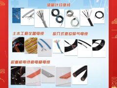 盛邦電線電纜(江蘇)有限公司 總經(jīng)理 張晉民 2024年新春寄語(yǔ)