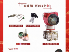 上海朝輝壓力儀器有限公司 董事長(zhǎng) 伍正輝 2024年新春寄語(yǔ)