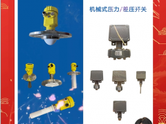 北京北方華瑞測(cè)控技術(shù)有限公司 銷(xiāo)售總監(jiān) 楊子 2024年新春寄語(yǔ)