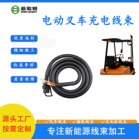 電動(dòng)叉車充電線束   叉車電瓶連接線束