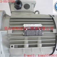 意大利ELECTRO ADDA電機