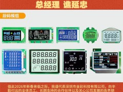 深圳市金彩科技有限公司 總經理 譙延忠2026年新春寄語